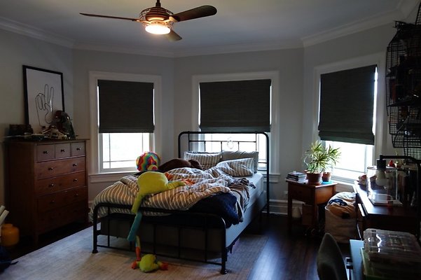 gottfried - 1 of 74 (51)