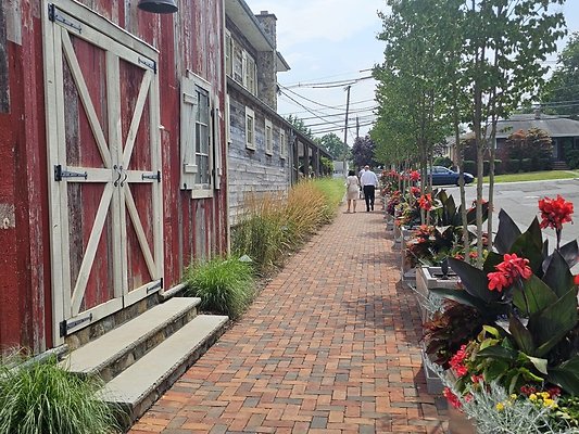 143928 resize 143928 resize