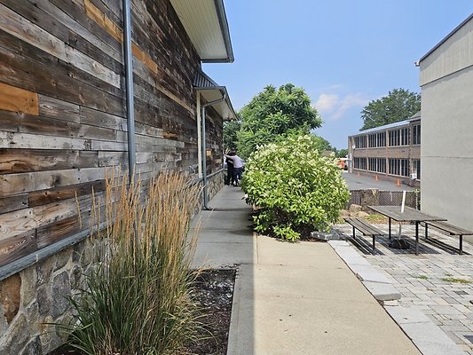 143533 resize 143533 resize