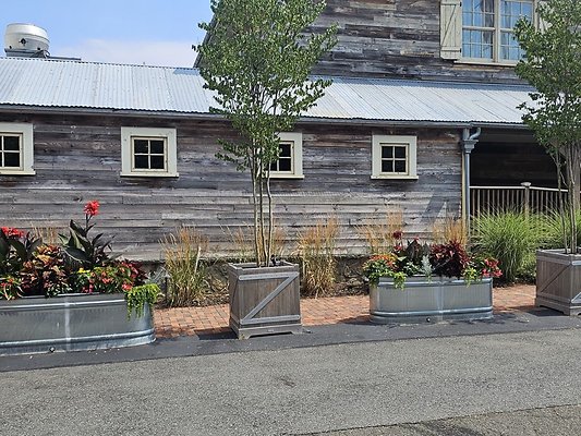 144037 resize 144037 resize